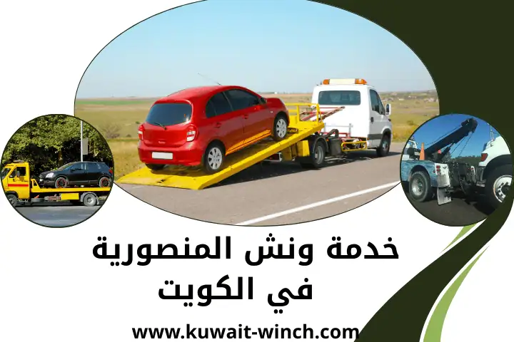 شركة ونش المنصورية