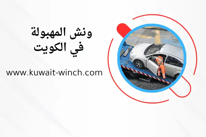 فني ونش المهبولة