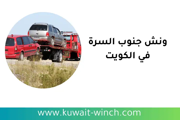 شركة ونش جنوب السرة